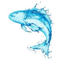 Fish made of liquid mercury