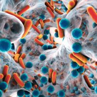 Biofilm of antibiotic resistant bacteria close up