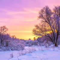 Cold winter landscape with snow and sunset