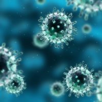 3D Rendered image of the H1N1 swine flu virus