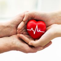 Mans hand donating a red heart organ with cardiogram to woman