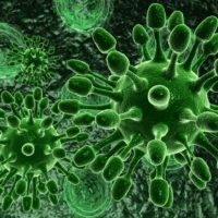 Green bacterial intruder cells causing sickness