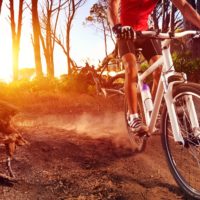 Mountain bike cyclist riding single track at sunrise healthy lifestyle active athlete doing sport