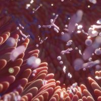 Gut Microbiome