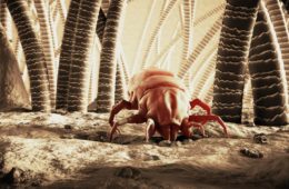 Close up 3D image of a dust mite