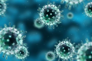 3D Rendered image of the H1N1 swine flu virus