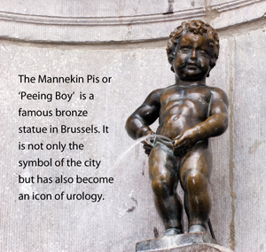 Image of the Mannekin Pis in Brussels