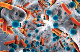 Biofilm of antibiotic resistant bacteria close up
