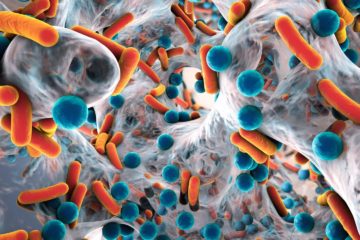 Biofilm of antibiotic resistant bacteria close up