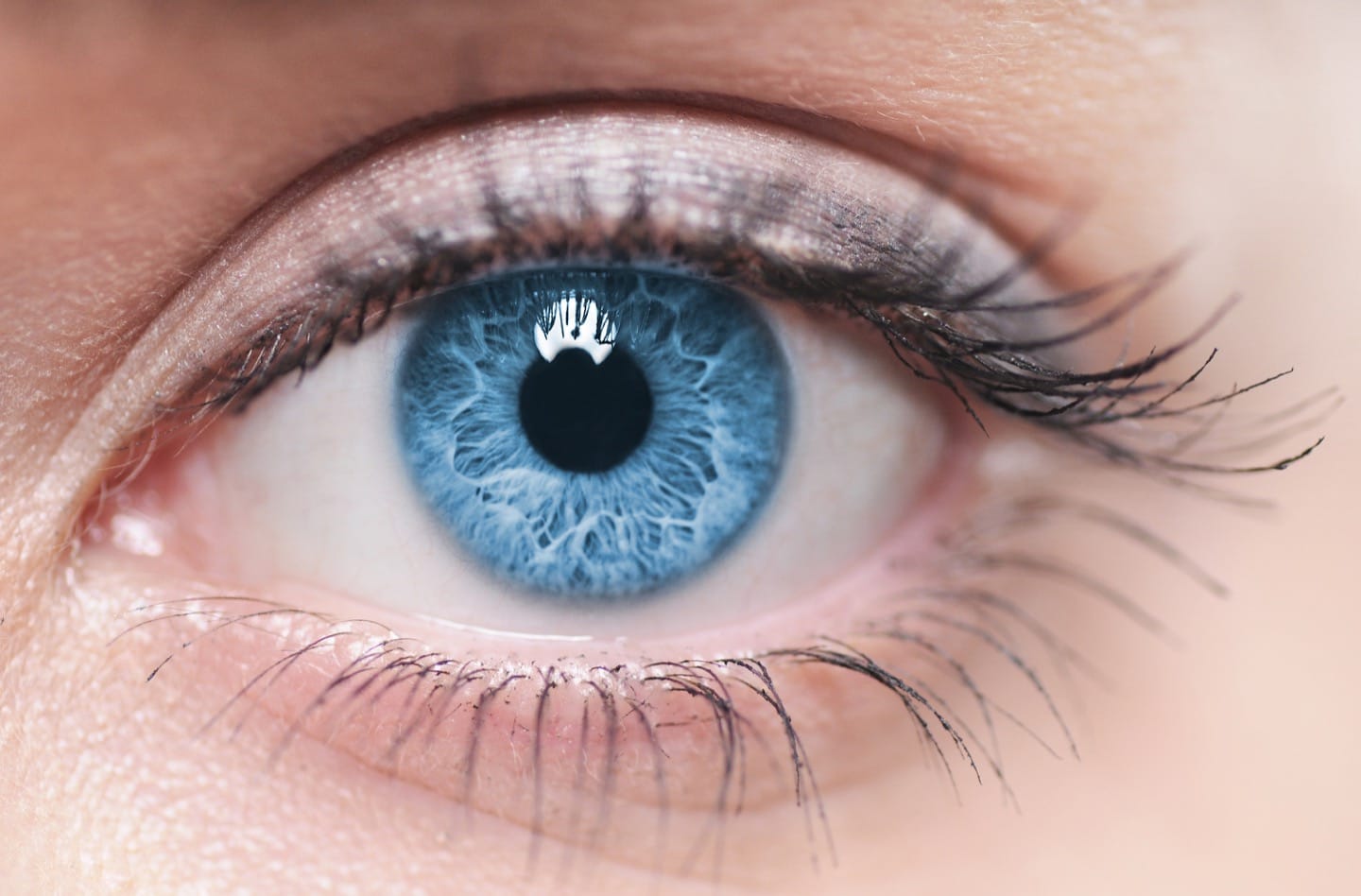 Extreme closeup of blue human eyeball showing the macula - Your Health