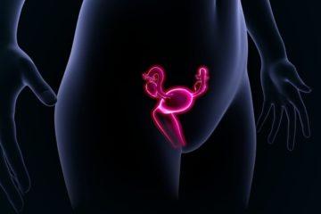 3D Illustration of womands ovaries and uterus
