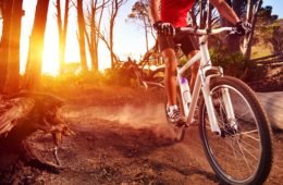 Mountain bike cyclist riding single track at sunrise healthy lifestyle active athlete doing sport