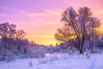 Cold winter landscape with snow and sunset