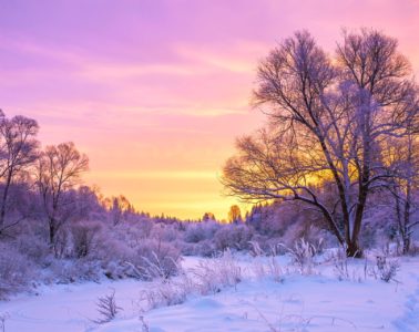 Cold winter landscape with snow and sunset