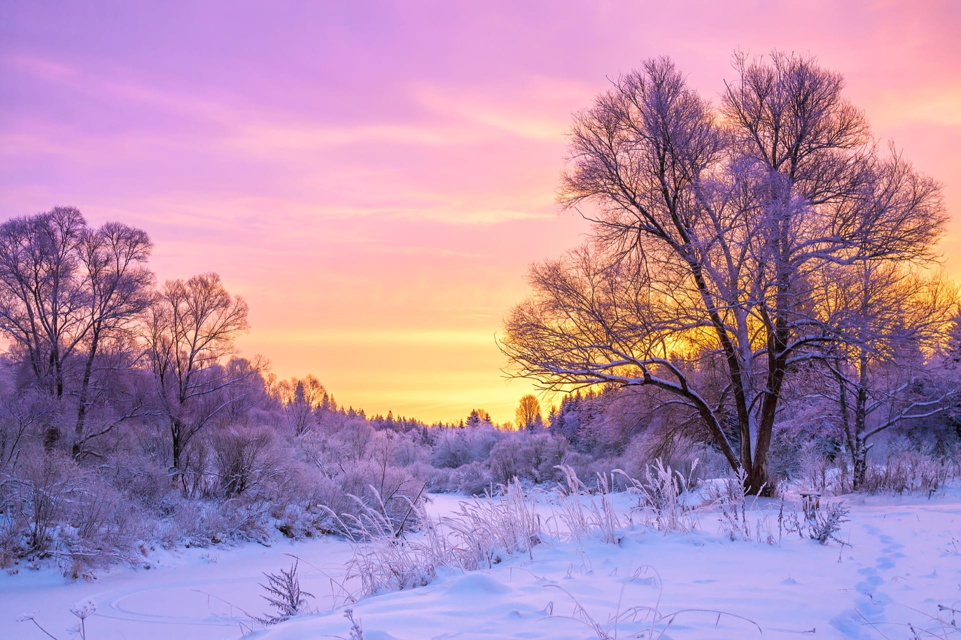 Cold winter landscape with snow and sunset - Your Health